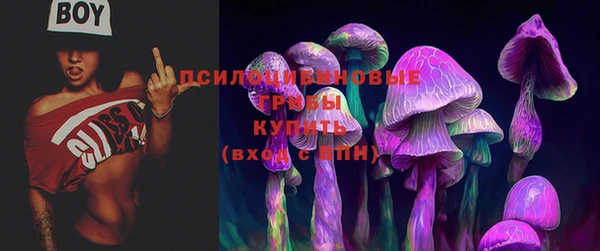 мяу мяу кристалл Инсар