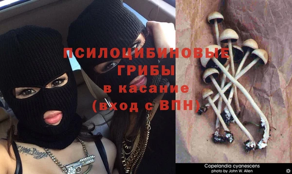 синтетический гашиш Иннополис